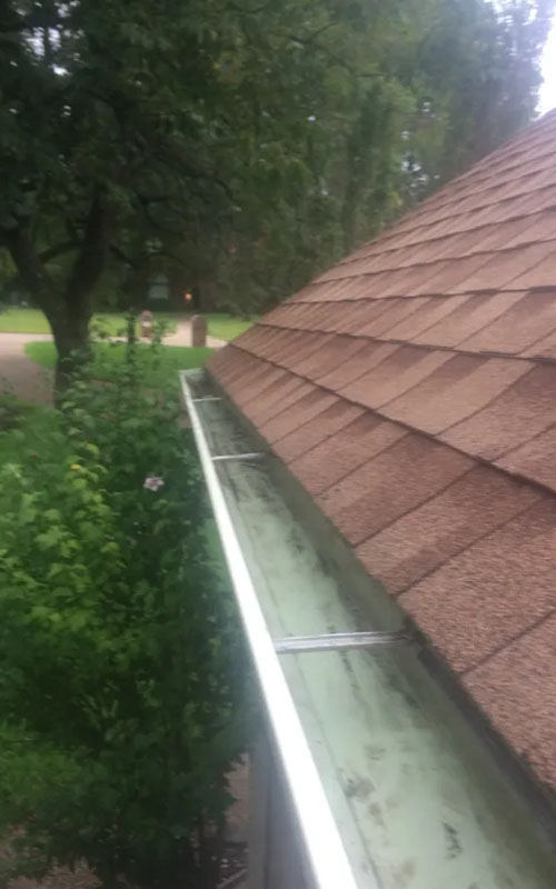 clean gutter on home